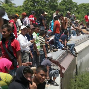 inmigrantes tren la bestia viaje