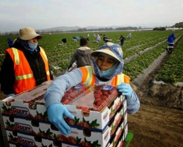 trabajadores4-1