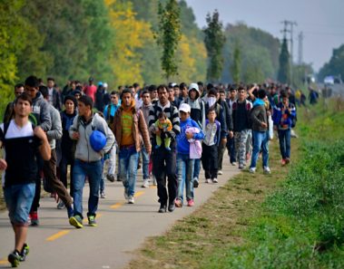 Refugiados